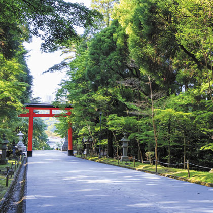 様々な秋の要素を散りばめた寄港地観光