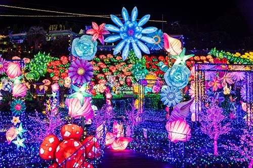 伊豆ぐらんぱる公園