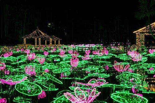 東南植物楽園