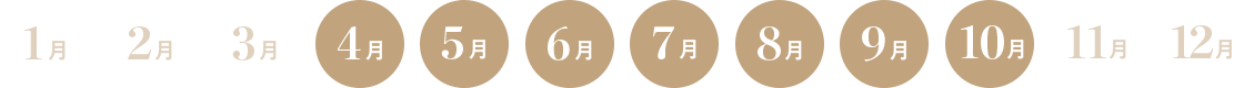 ラスベガスのベストシーズン