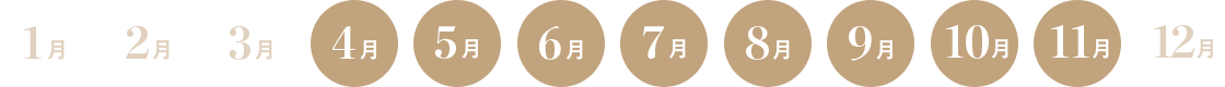 ケアンズのベストシーズン