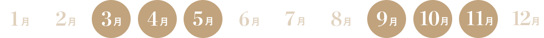 シドニーのベストシーズン