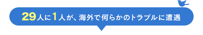 ネット専用の海外旅行保険 たびほt Biho