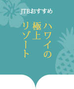 JTB nC̋ɏナ][g