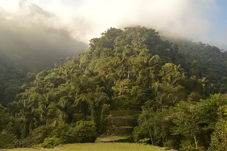 シエラ ネバダ デ サンタ マルタ(シウダー ペルディダ)