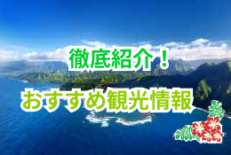 初めてのハワイに！おすすめ観光スポット