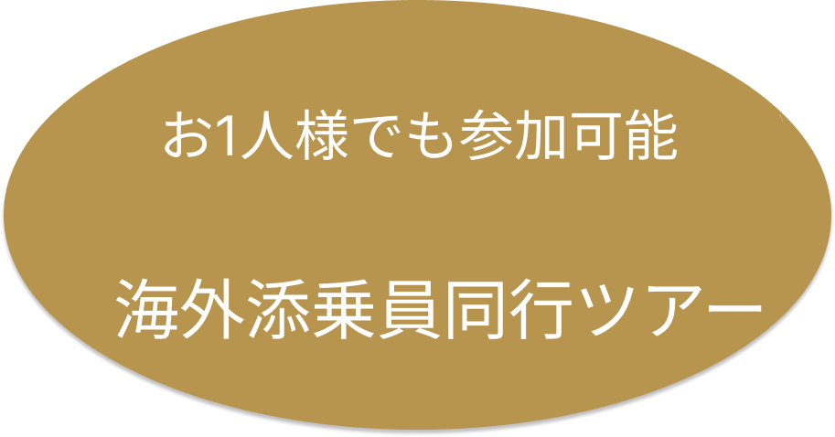 海外添乗員同行ツアー