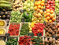 地元に暮らす現地在住ガイドならではの、マドリードおすすめスポットをアドバイス