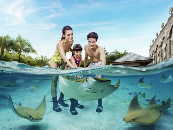 アドベンチャーコーブ・ウォーターパークはこんなところ