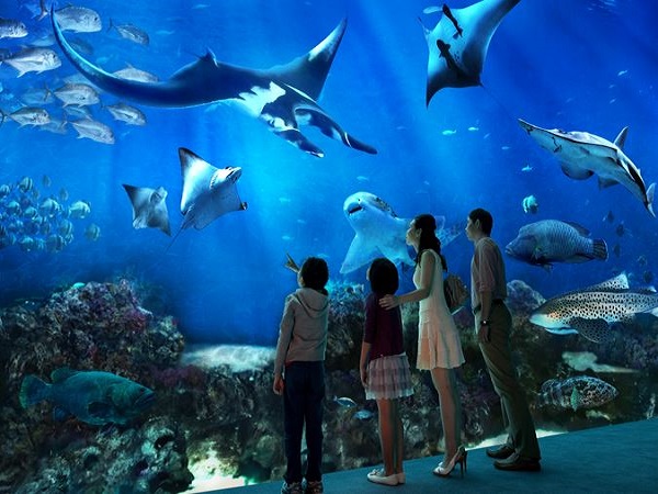 ❖みどころ①❖世界最大級の海洋水族館「シー・アクアリウム」