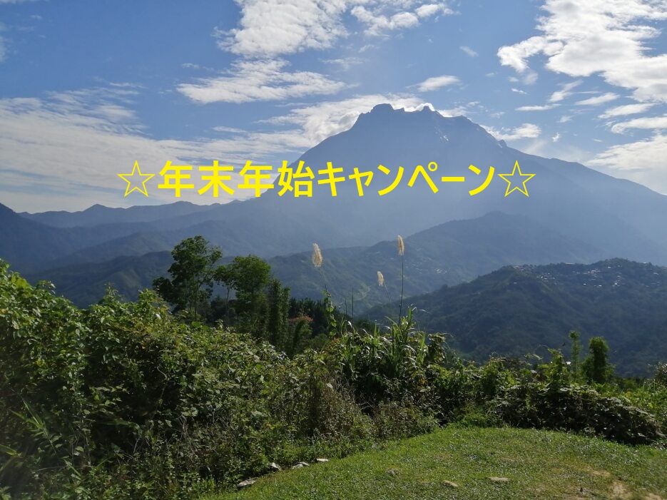 ☆年末年始キャンペーン☆  世界遺産キナバル公園とキャノピーウォーク