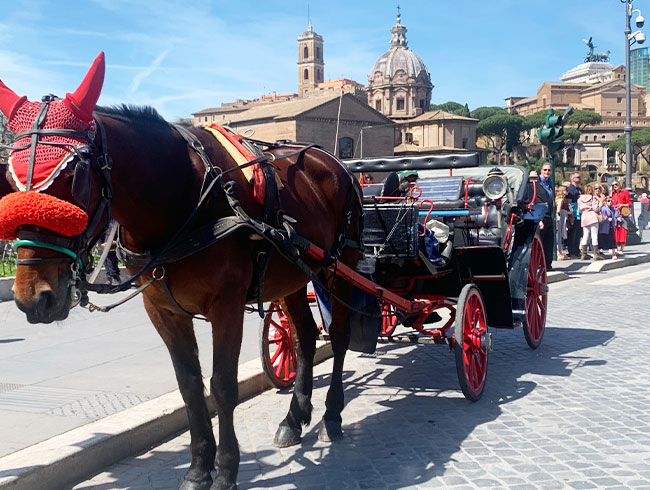 〈馬車散策付プラン〉ロマンチックに馬車で観光も◎