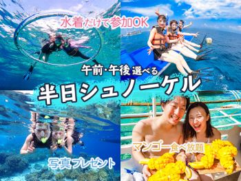 【アイランドホッピング／半日(午前or午後)】セブの海を楽しむ♪手軽に楽しむ半日シュノーケル！(ランチなし)