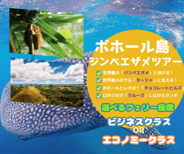 【ボホール島日帰りツアー】決定版！日帰りで行くジンベイザメとメガネザル、チョコレートヒルズの展望台＆生演奏リバークルーズランチ付き＜日本語ガイド/ホテル往復送迎あり/フェリー乗船券＞