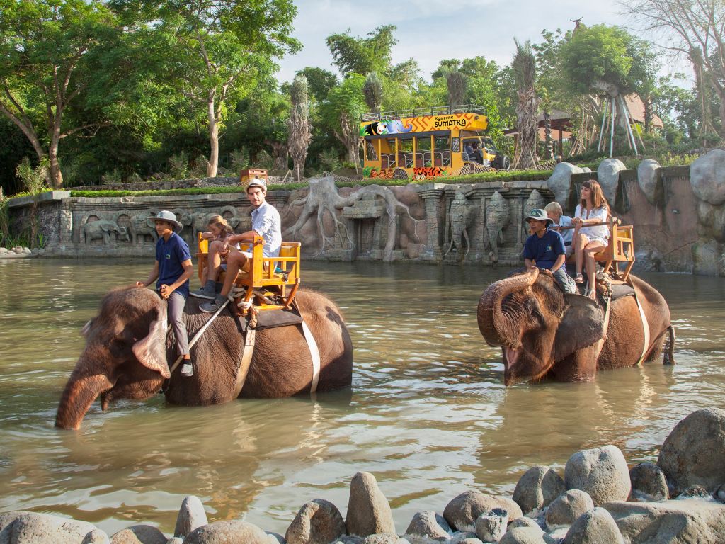 バリズーで象乗り体験|象の背中に乗って園内をお散歩