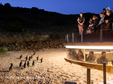 ペンギンパレードを見るならプラス席がおすすめ
