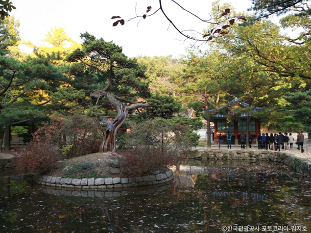 宗廟(チョンミョ)~朝鮮時代からの伝統行事を受け継ぐ霊廟~