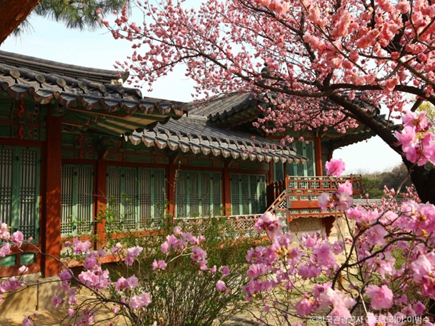 昌徳宮(チャンドックン)~王族達が暮らしていた厳粛な建造物~