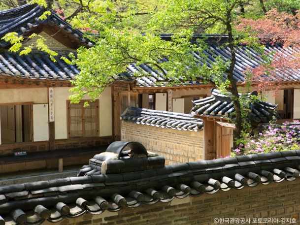 昌徳宮(チャンドックン)~王族達が暮らしていた厳粛な建造物~