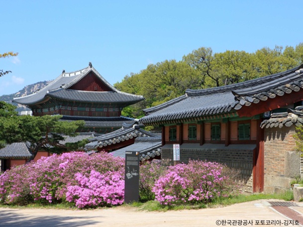 昌徳宮(チャンドックン)~王族達が暮らしていた厳粛な建造物~
