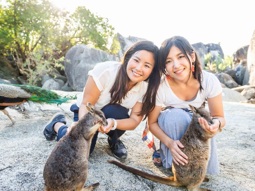 【日本語ガイド】アサートン高原めぐりツアー・ランチ付き！