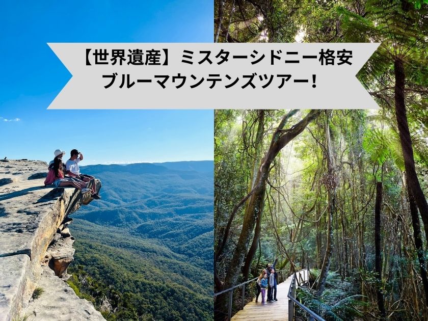 【世界遺産】ミスターシドニーの格安ブルーマウンテンズツアー！フェリークルーズ・ミートパイ付き