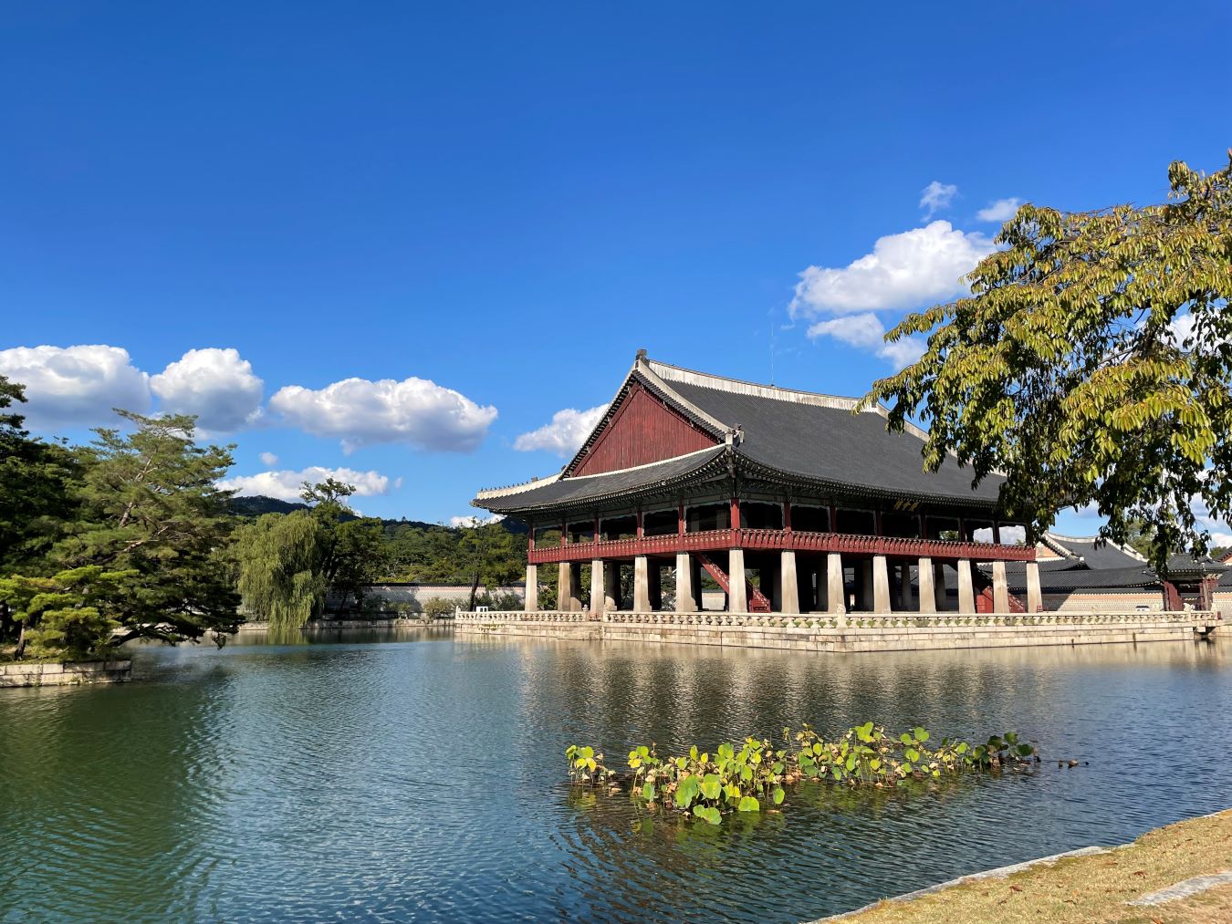 【ソウルの人気観光地ベスト４】現地ガイドと効率よく巡る半日観光！(景福宮or昌徳宮, 北村韓屋村, 仁寺洞, 広蔵市場）