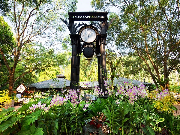 シンガポール初の世界文化遺産登録＜シンガポール植物園＞