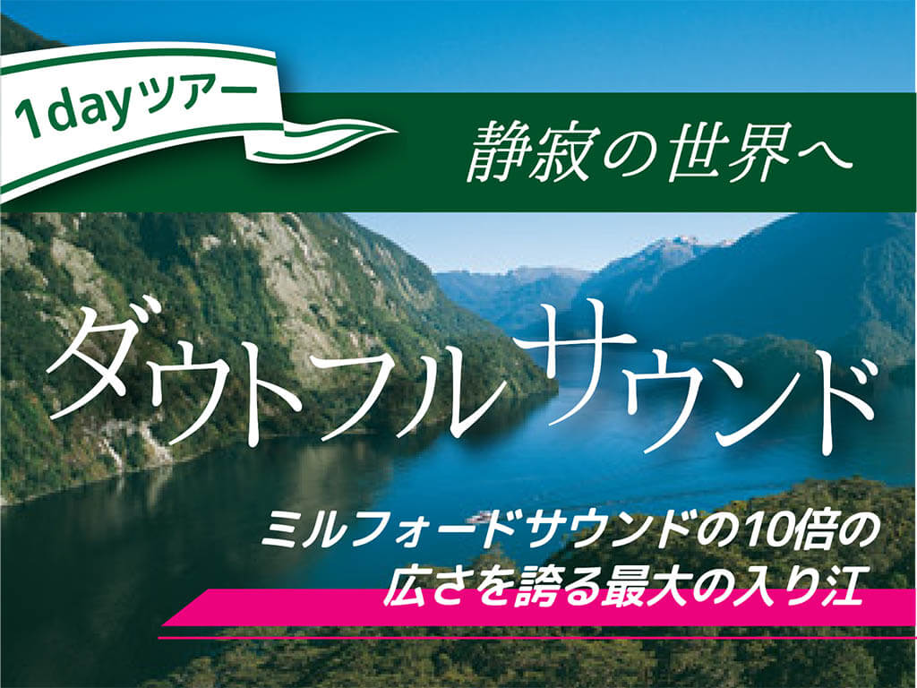 ★静寂の世界へ★ダウトフルサウンド１日観光