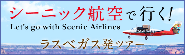 シーニック航空