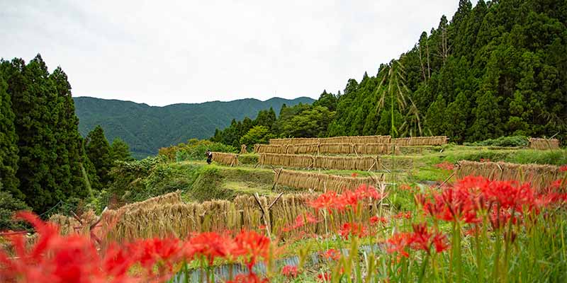 写真提供元　一般社団法人イーストとくしま観光推進機構