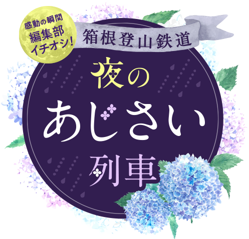 感動の瞬間編集部イチオシ！箱根登山鉄道　夜のあじさい列車