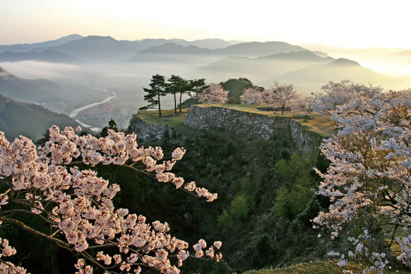   朝来市