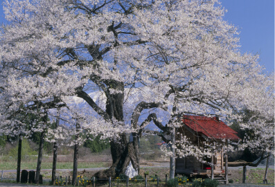 盛岡・雫石