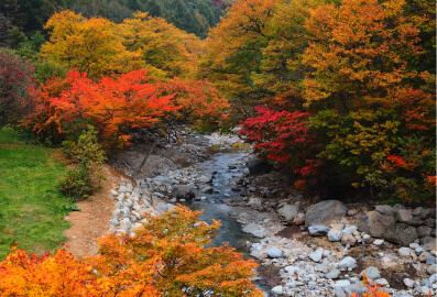 安比・八幡平