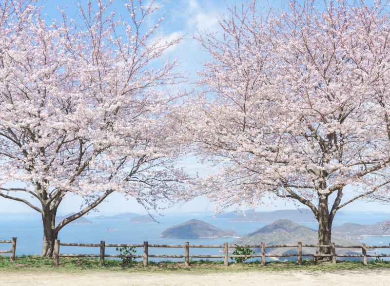  観音寺