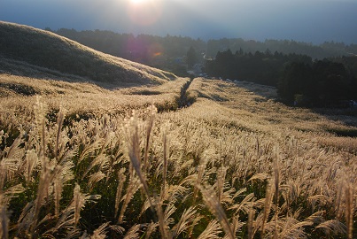 小田原・箱根