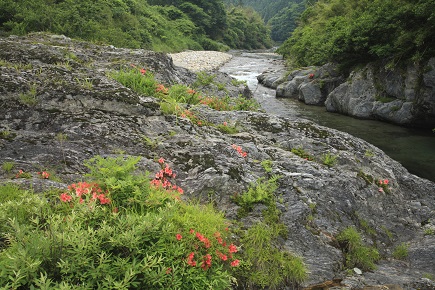 松阪・中伊勢