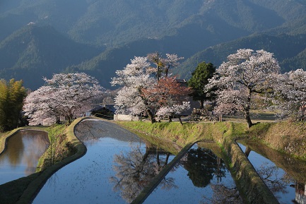 津・鈴鹿・四日市・桑名