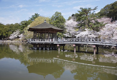 奈良公園鷺池に浮かぶ浮身堂と桜