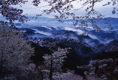 吉野・五條