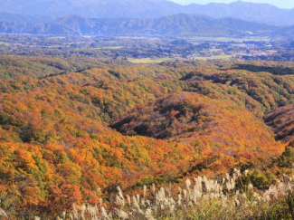 蒜山・湯原