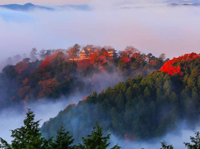 高梁・新見