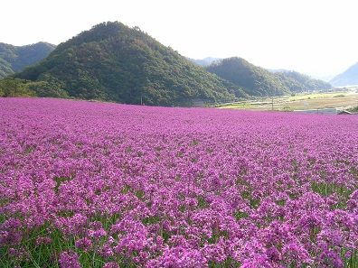 鳥取・浦富海岸