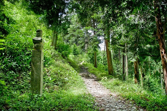 高野山・龍神