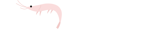 白えび 富山湾の宝石！