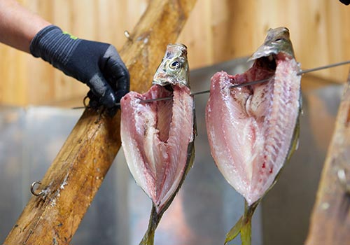 宮津・カネマスの「干物作り体験」＆七輪焼の昼食