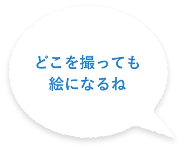 どこを撮っても絵になるね