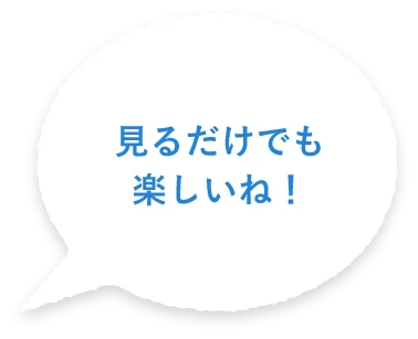 見るだけでも楽しいね！