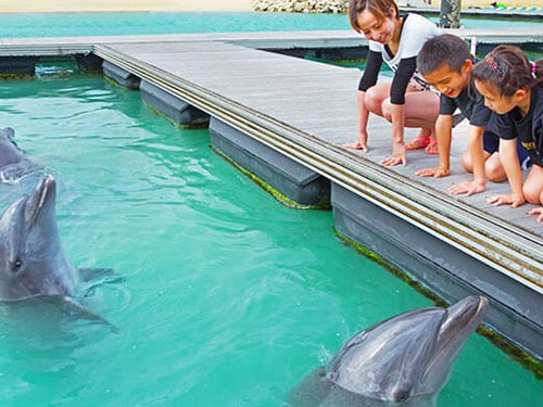 わいわいファミリー利用券付!